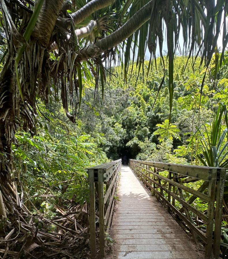 Explore Maui'S Diverse Campgrounds And Uncover The Island'S Beauty From Fresh Perspectives Every Day As You Journey With Aloha Glamp'S Great Jeep Equipped With A Rooftop Tent Пайя Екстер'єр фото